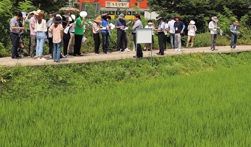도 농기원, 경기쌀 적정생산을 위한 현장평가 나서