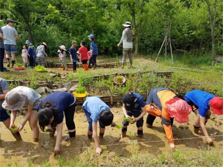 성남시 “숲과 친구하는” 76가지 시민 체험 프로그램 운영