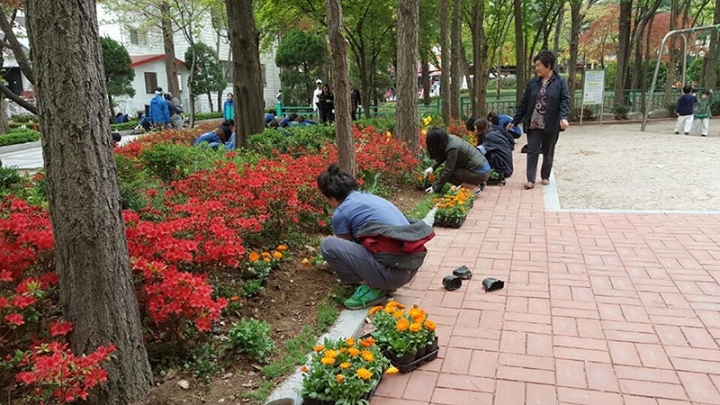 성남시 “시민 참여형” 4개 분야 녹화 사업 편다