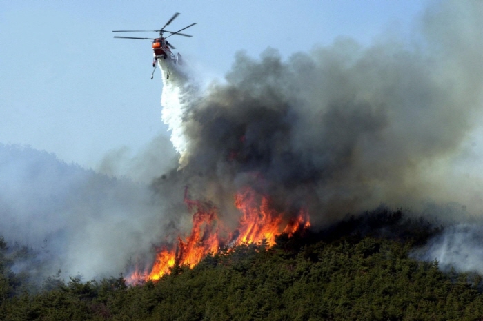 산불재난국가위기경보 ‘경계’로 상향‥도, ‘산불대응 공조체계’로 총력전 