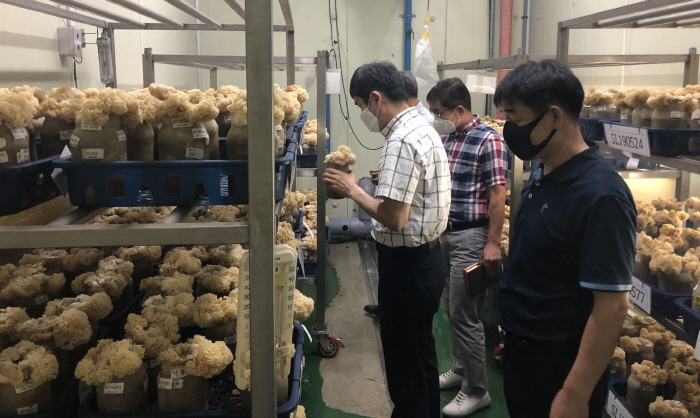 경기도농업기술원, 버섯·친환경농업 시험연구사업 중간점검 실시