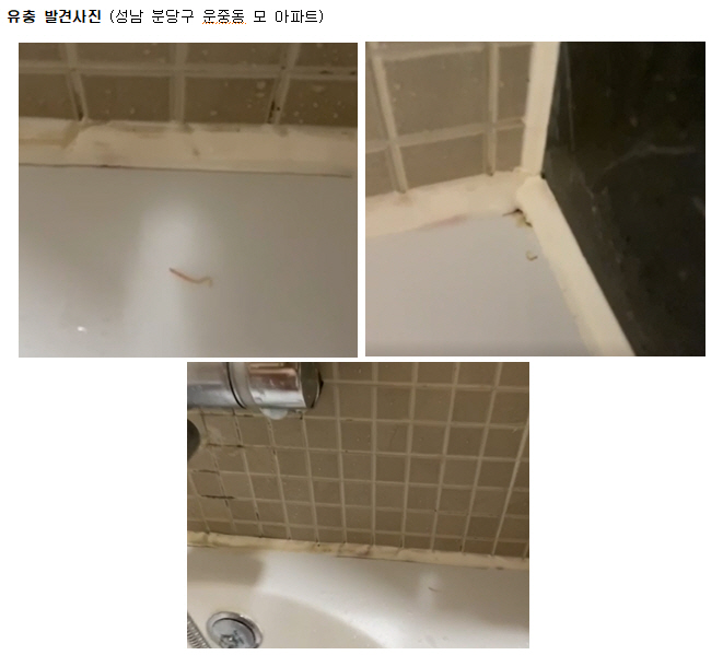 김은혜 의원, 분당 ‘수돗물 유충’ 발견... 철저한 진상조사, 대책 주문