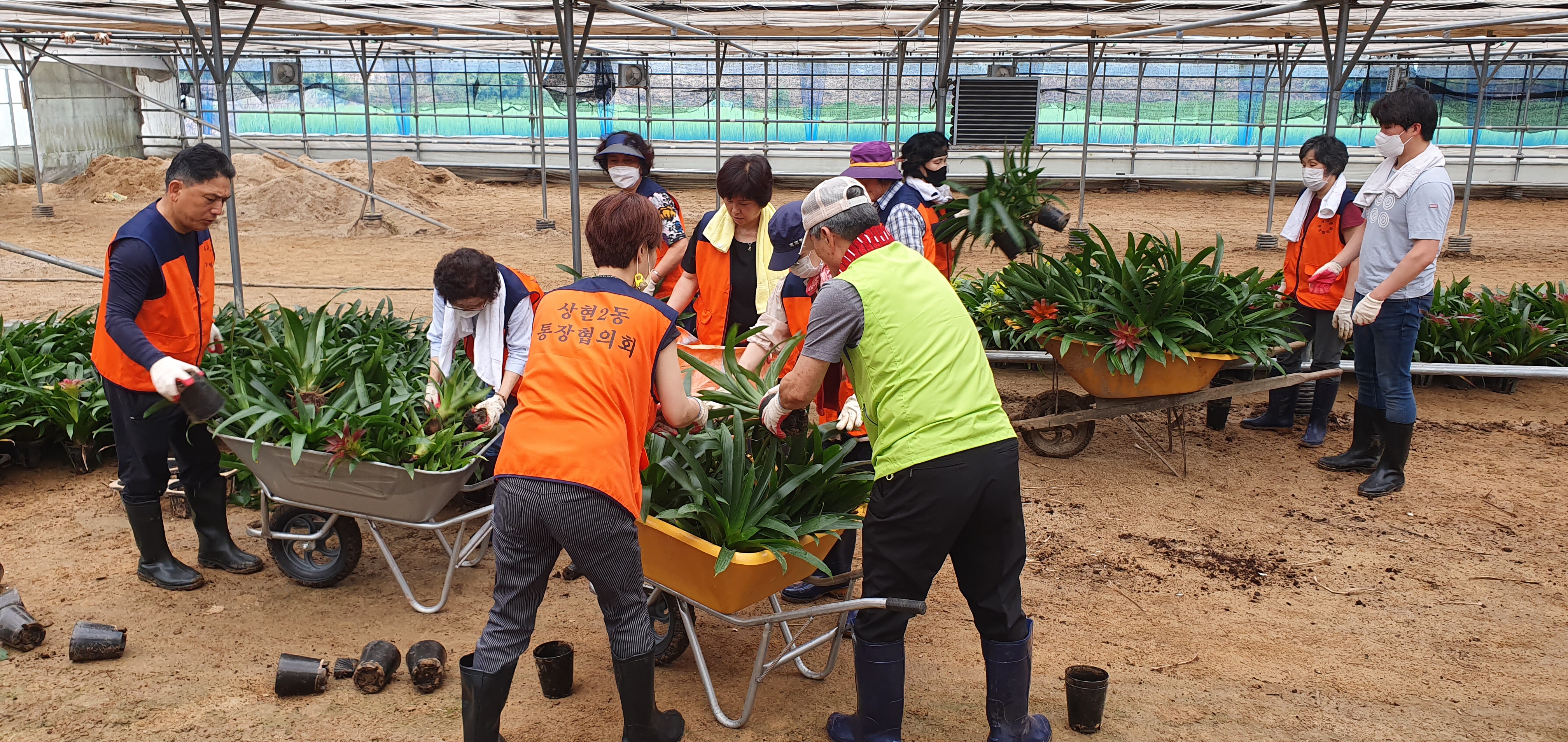 상현2동, 민간단체 2곳 화훼농가 수해복구 봉사 참여