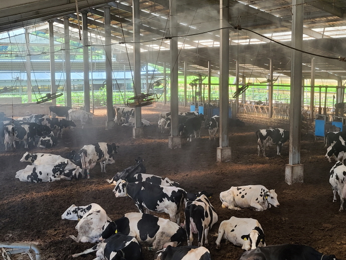 안성시농업기술센터, 무더위 속 가축 생산성 저하 방지를 위한 관리요령 당