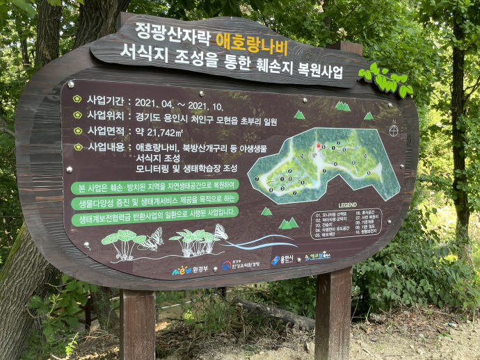 정광산 애호랑나비·북방산개구리 서식지 복원