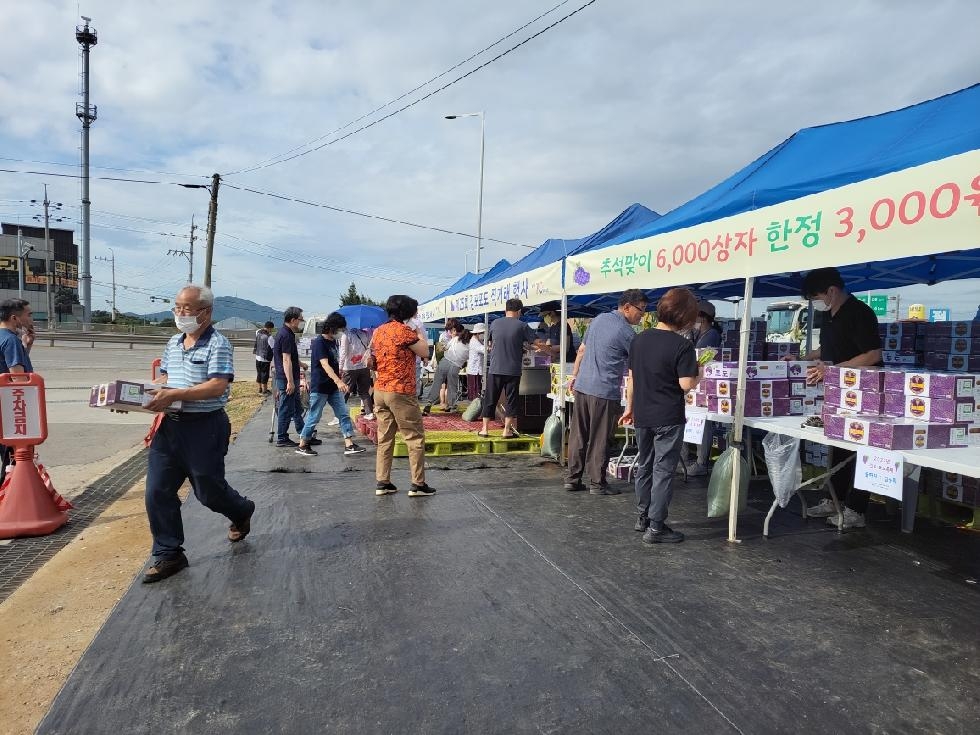 제25회 김포포도 직거래 행사 성료, 9천여상자 판매