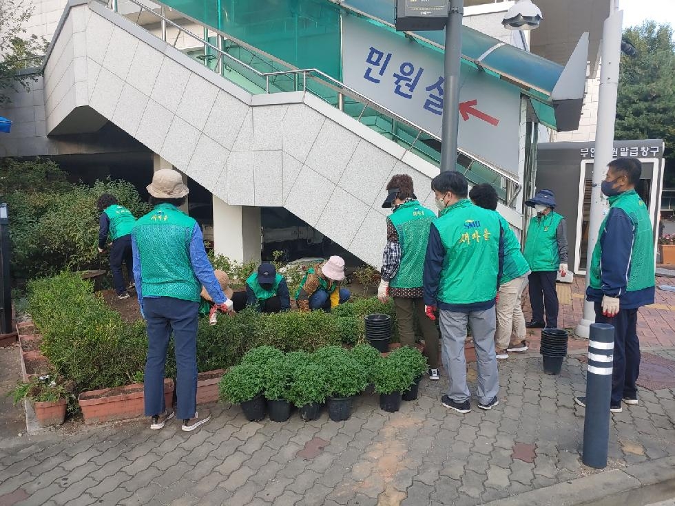 김포시 장기동 새마을회, 화사한 가을맞이 국화꽃 식재