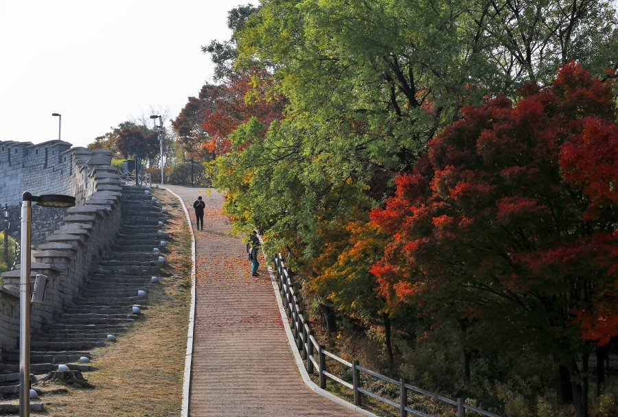 서울시, 낙산공원 탐방로·성곽 등 정비…더 안전하고 쾌적하게