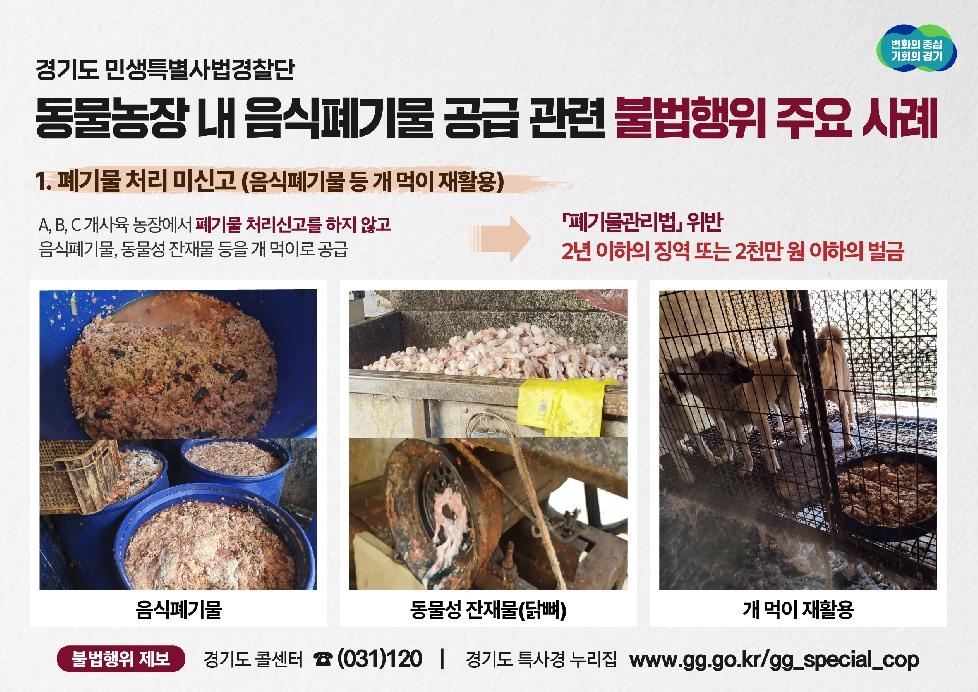 경기도,신고 없이 음식폐기물을 개·닭 먹이로… 도 특사경, 음식폐기물 공