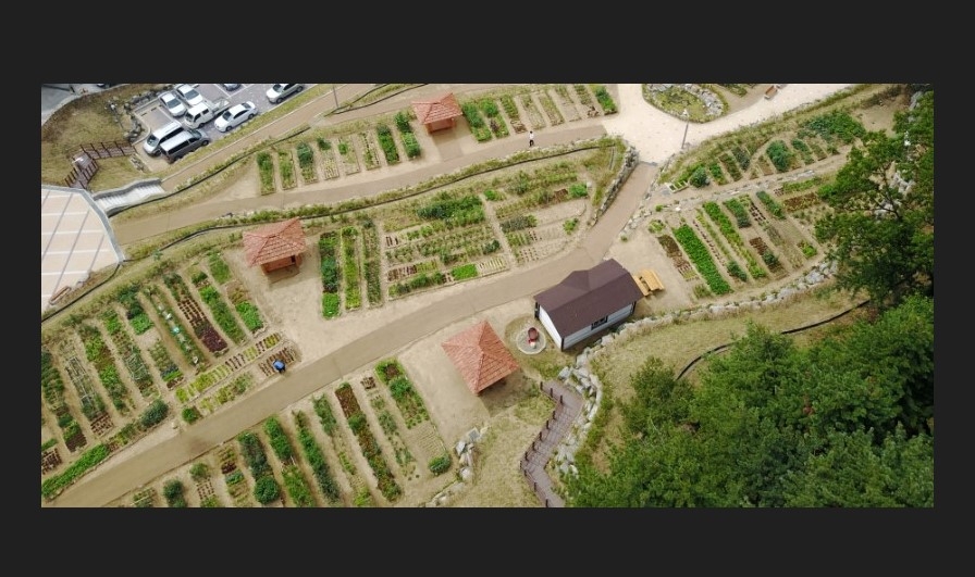 인천 미추홀구, 친환경 도시농업 실천을 위한  도시텃밭 참여자 모집
