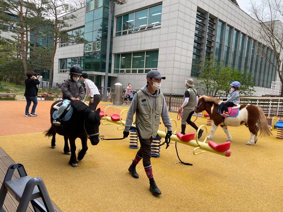 경기도, 도  축산진흥센터  올해 어린이 1 600명 대상 말 체험 추진