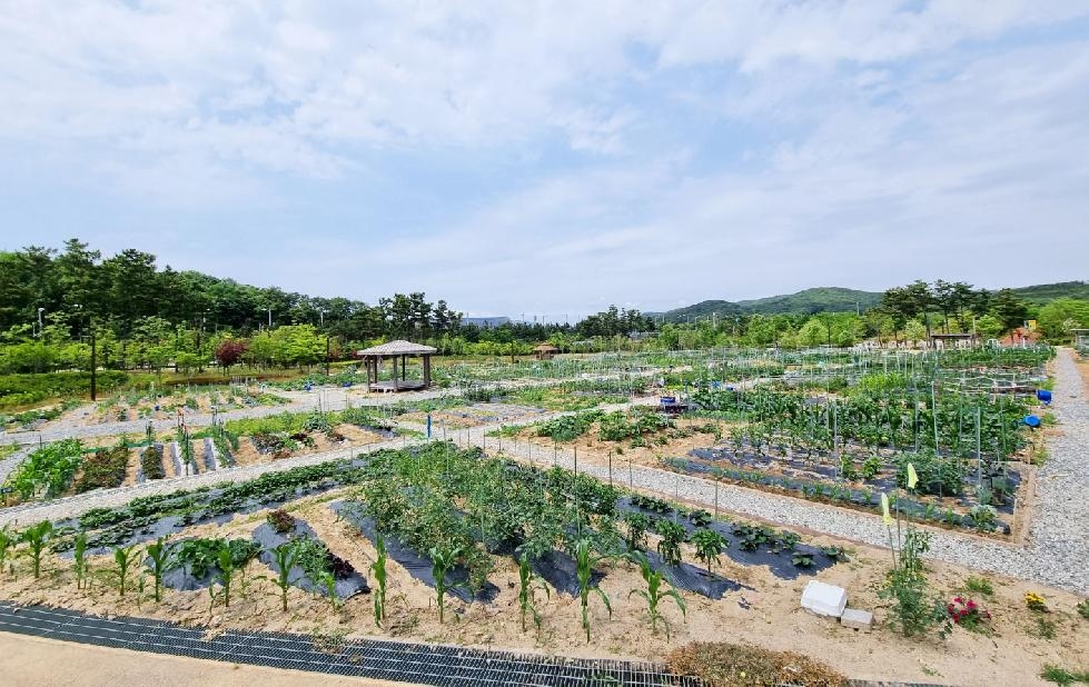 인천 중구시설관리공단, ‘도시농업(텃밭) 활동’ 참여자 모집