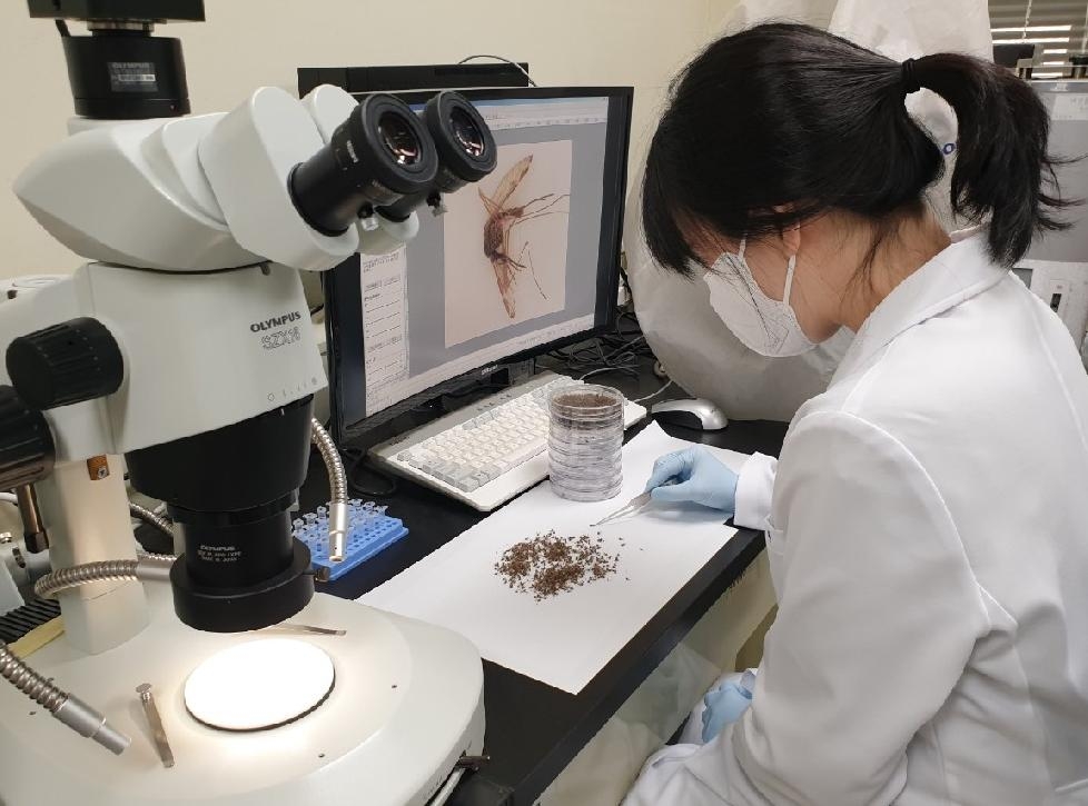 경기도, 말라리아 환자 발생 예방 선제적 감시 추진