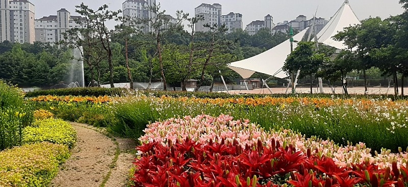 ‘김포시 공원·녹지, 더 넓고 더 푸르게’