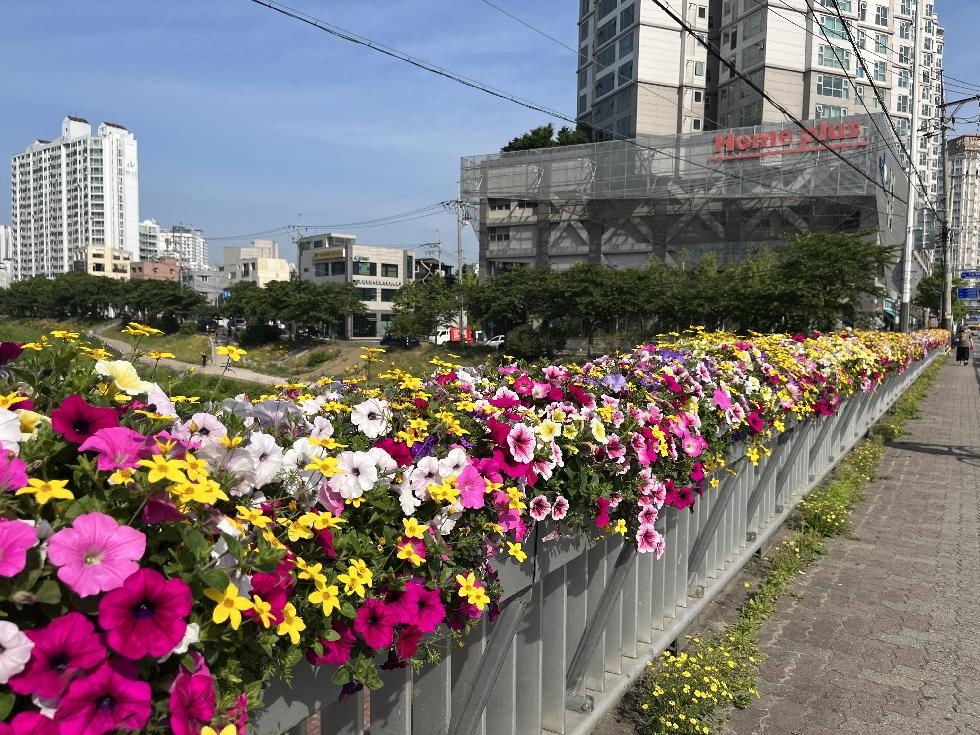 하남시, 주요 도로변에 계절꽃 식재로 화사한 볼거리 제공