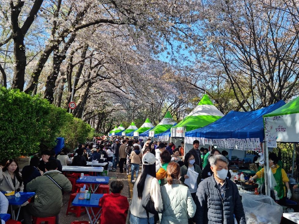인천 중구 4년 만에 찾아온 ‘2023 자유공원 벚꽃축제’ 성황리 마무리