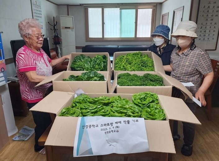 안양시 신성중, 스마트팜 재배 작물 기부로 나눔 실천