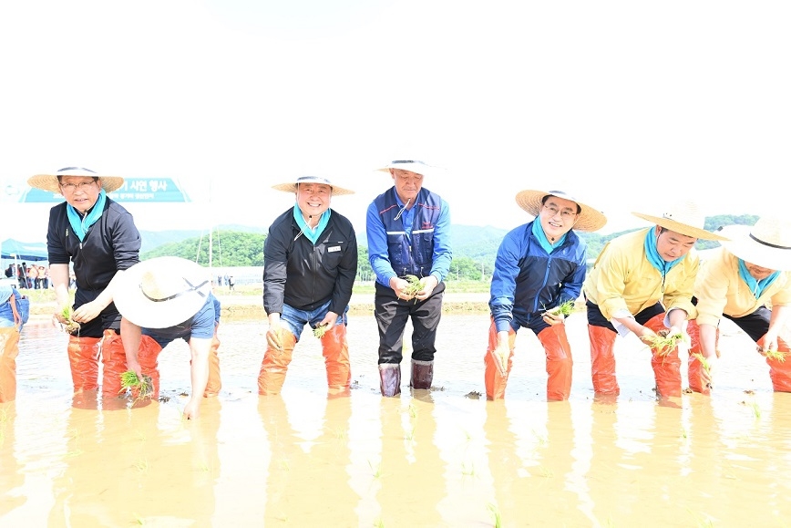 경기도·파주시, 풍년 기원 모내기 시연…고품질 쌀 산업 발전 다짐