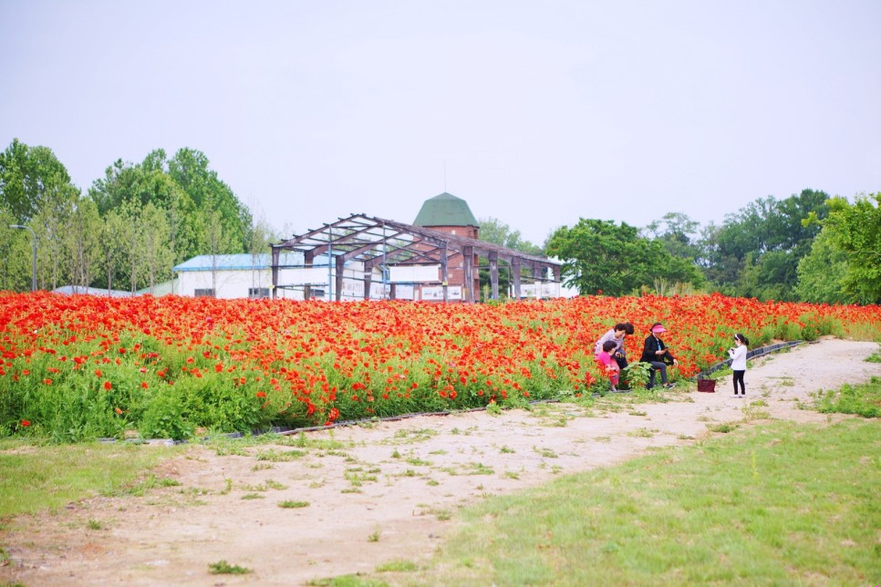 수원시, 탑동시민농장에서‘푸른지대 행복한 장날’개최