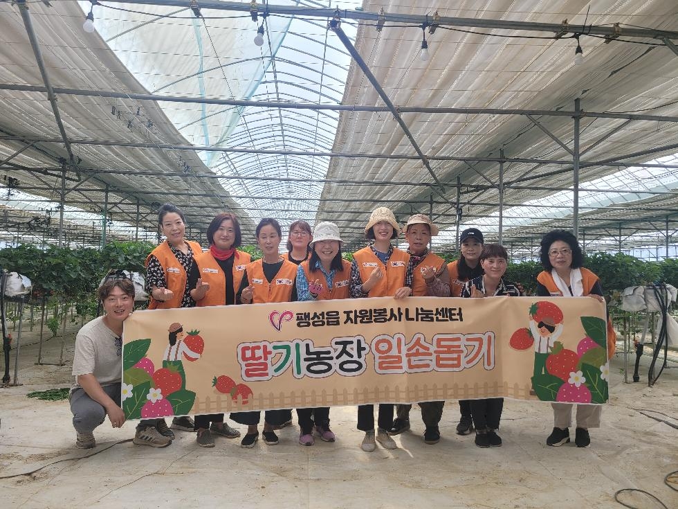 평택시 팽성읍 자원봉사 나눔센터, 2023년 딸기농장 일손 돕기