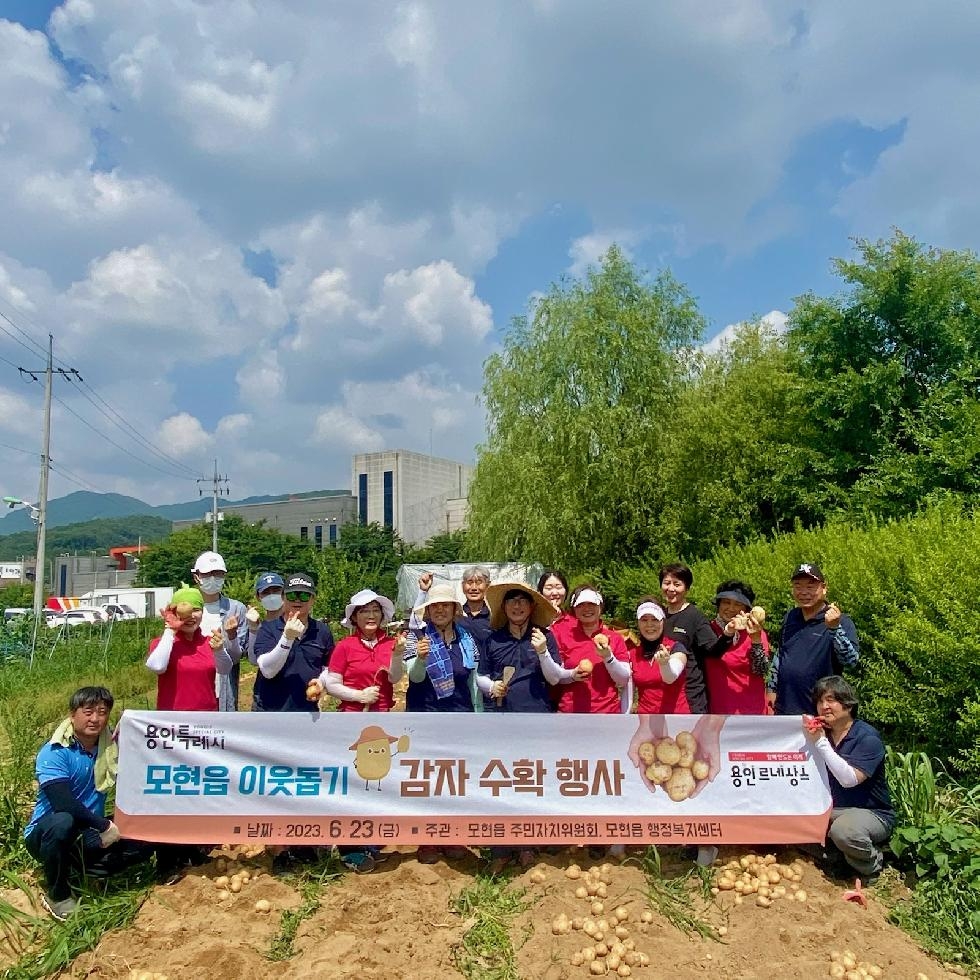 용인시 모현읍 주민자치위원회, 이웃 돕기 감자 수확 행사 개최