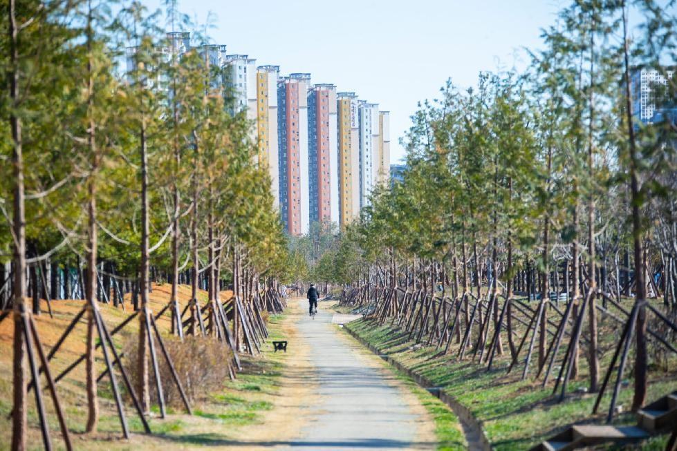 인천 서구, 청라 둘러싸는 ‘기후대응 도시 숲’ 조성···축구장 9개 규