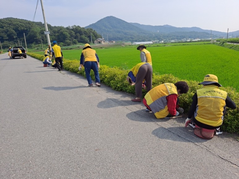 강화군 양사면 노인자원봉사단, 마을 환경 정비 나서