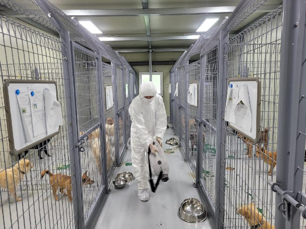 경기도, 도 전체 65개 동물보호소 대상 조류인플루엔자 일제검사 추진