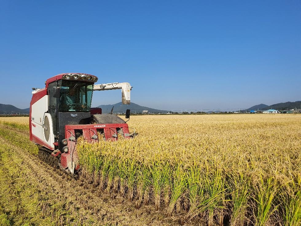 강화군, 고품질 강화섬쌀 생산을 위한 ‘적기 수확, 적온 건조’당부