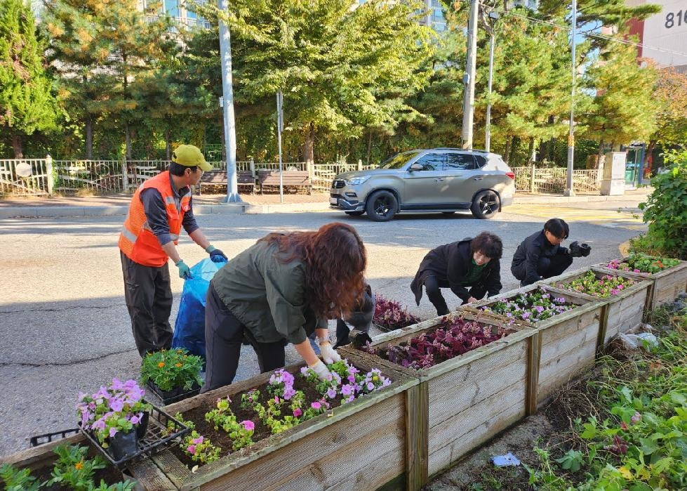 인천 서구 원당동, 가을맞이 무단투기 지역에 가을꽃 식재