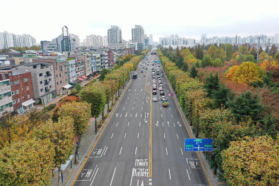 인천 부평구, 걷고 싶은 거리 특화 가로수길 조성