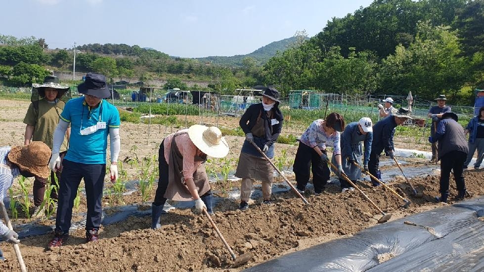 경기도, 도 농기원  2024년 도시농업 활성화 공모사업 대상기관 모집