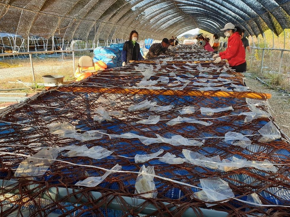 경기도, 사고·질병으로 어업활동이 어려운 어업인에게 대체인력 비용 지원