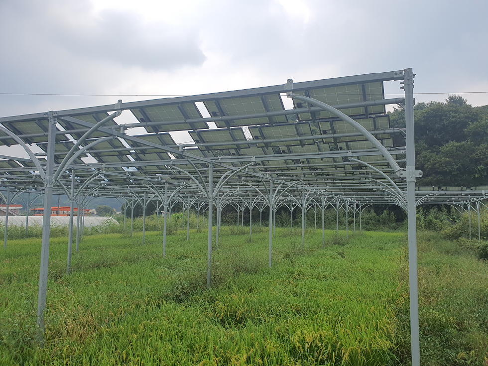 경기도,농지에서는 생산물로 수익  지붕에서는 태양광 발전으로 수익