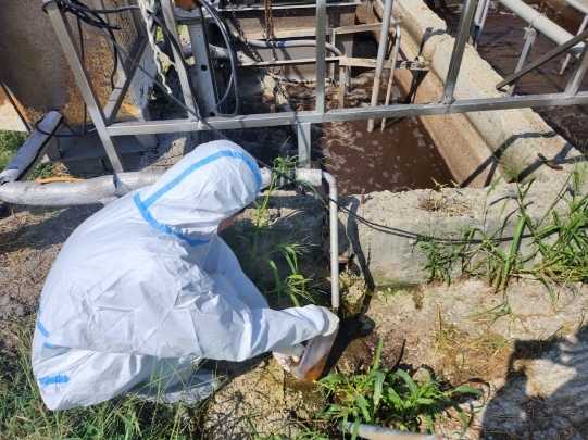 파주시  6월까지 관내 돼지 농가 ‘환경오염행위’ 집중 점검