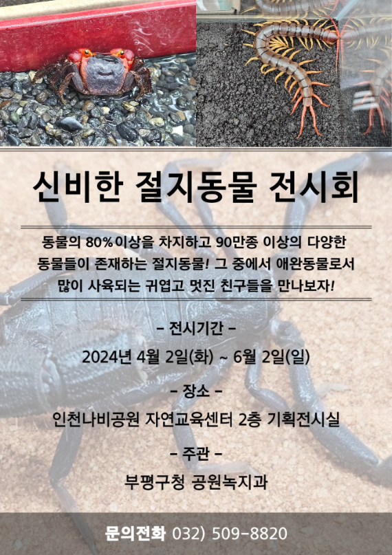 인천 부평구, ‘신비한 절지동물 전시회’ 개최