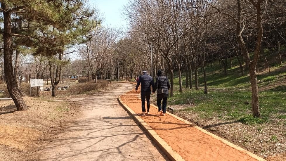 시흥시 곰솔누리숲 황톳길에서 맨발 걷기 해볼까?