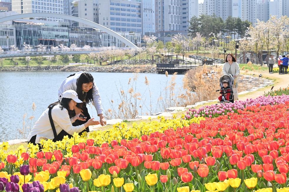 하남시 ‘꽃향기 가득’ , 공원과 길가에 계절꽃 9만7,000본 식재