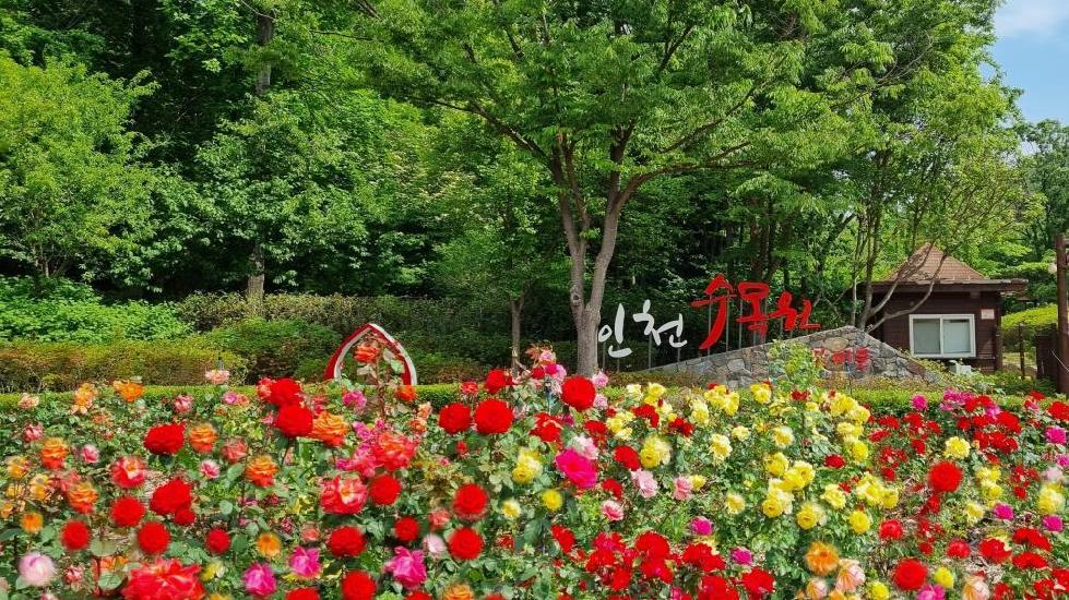 인천시 인천수목원, 전국 43개 수목원.정원과 함께 스탬프 투어 운영