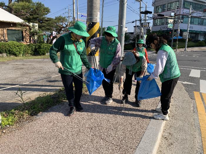 이천시 새마을증포동남녀지도자협의회, 깨끗한 지역환경 만들기 활동