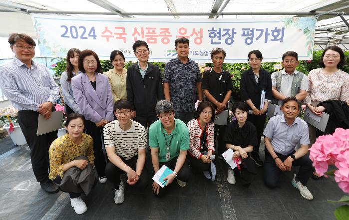 경기도, 도 농기원  국산 품종화를 위한 ‘수국 육성계통 평가회’ 개최