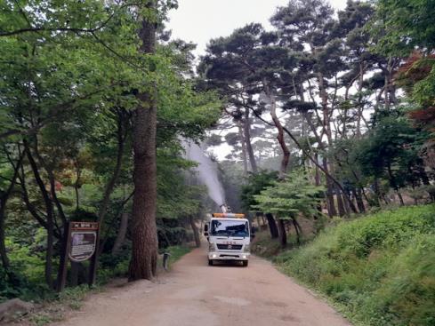 인천시  산림병해충 대응위해‘예찰·방제 대책 본부’가동