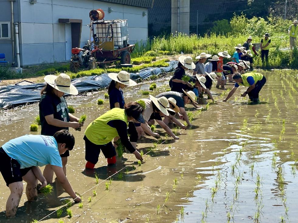 시흥시 신현동, 농업 가치 깨닫는 어린이 농부 손 모내기 체험 열어