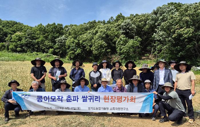 경기도, 도 농기원  쌀귀리-콩 이모작 재배 개발 기술 농가 현장평가회 