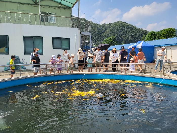 경기도, ‘2024년 민물고기 생태체험학교’ 참가자 모집