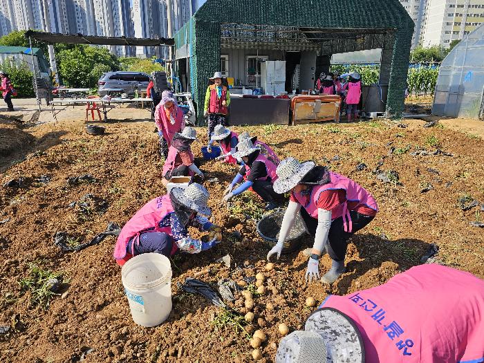 취약계층 봉사를 통해 지역사회 발전을 선도하는 한국생활개선김포시연합회 감자 기부행사 진행