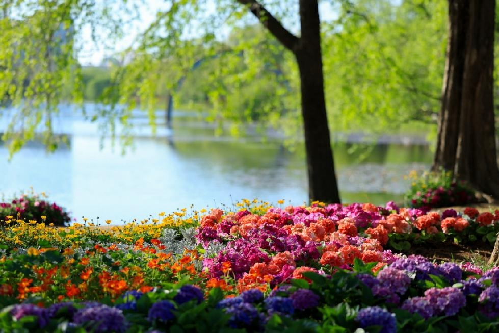 NE_2025_CUZBJM37281.jpg